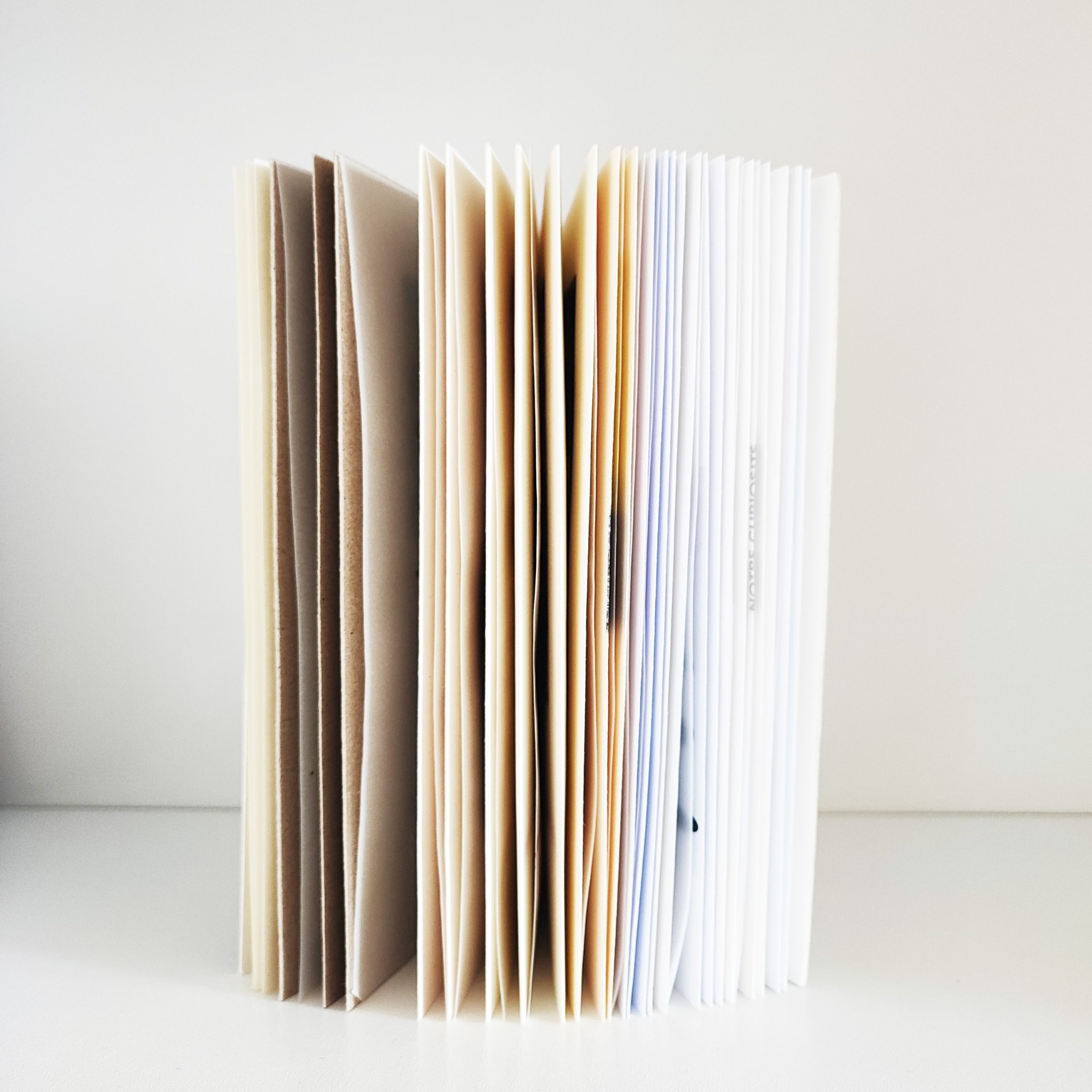 faconnage-memoire-une-collection-de-palimpsestes-graphiques faconnage-memoire-une-collection-de-palimpsestes-graphiques